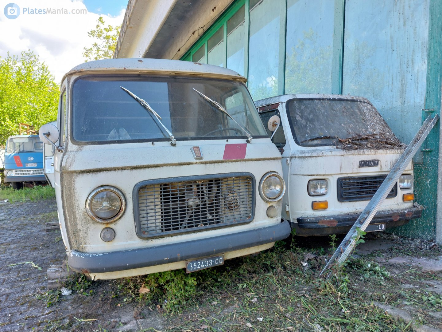 CO 352433, FIAT 241 