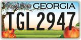 Georgia, ABC 1234