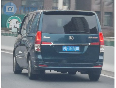 沪D·TG308, DongFeng Fengxing Lingzhi