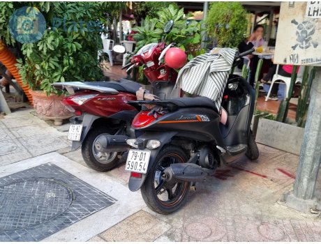 79-D1 590.54, Yamaha Janus