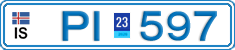 PI 597