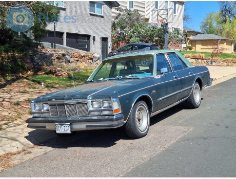 DCY-Z37, Dodge Diplomat