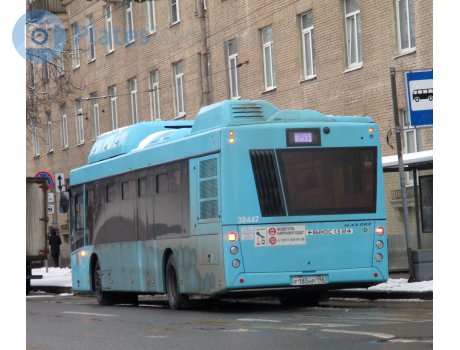 р185нр198, MAZ 203