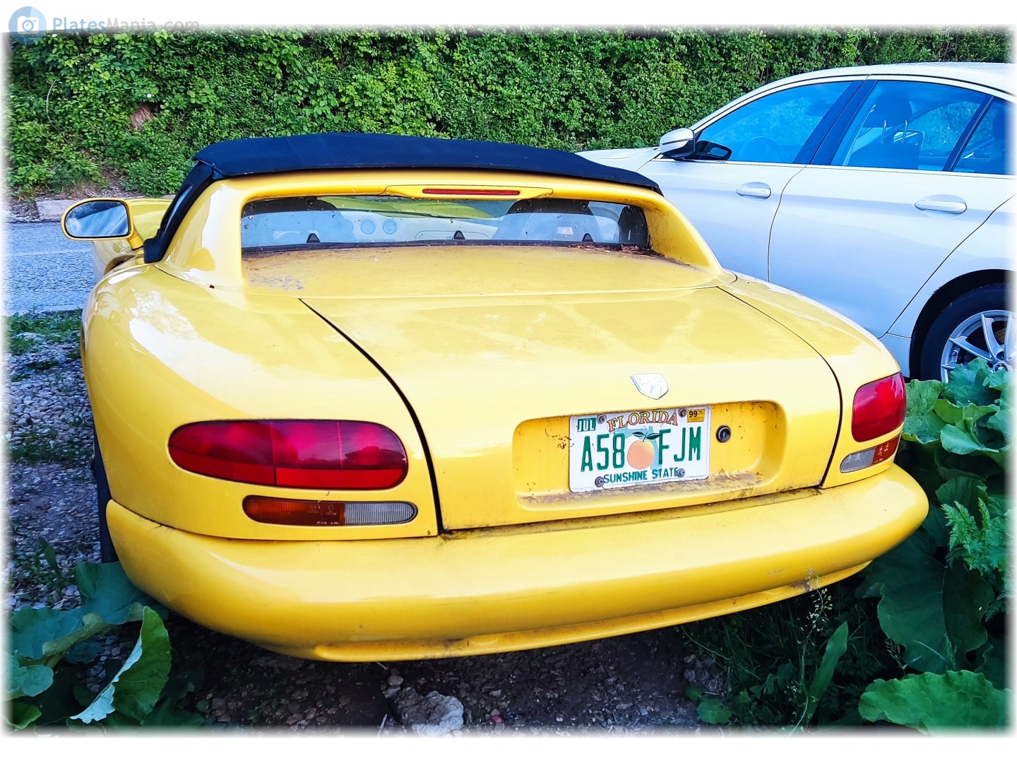 A58 FJM, Dodge Viper 1st gen (SR I), 1991–1995