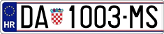 DA 1003-MS