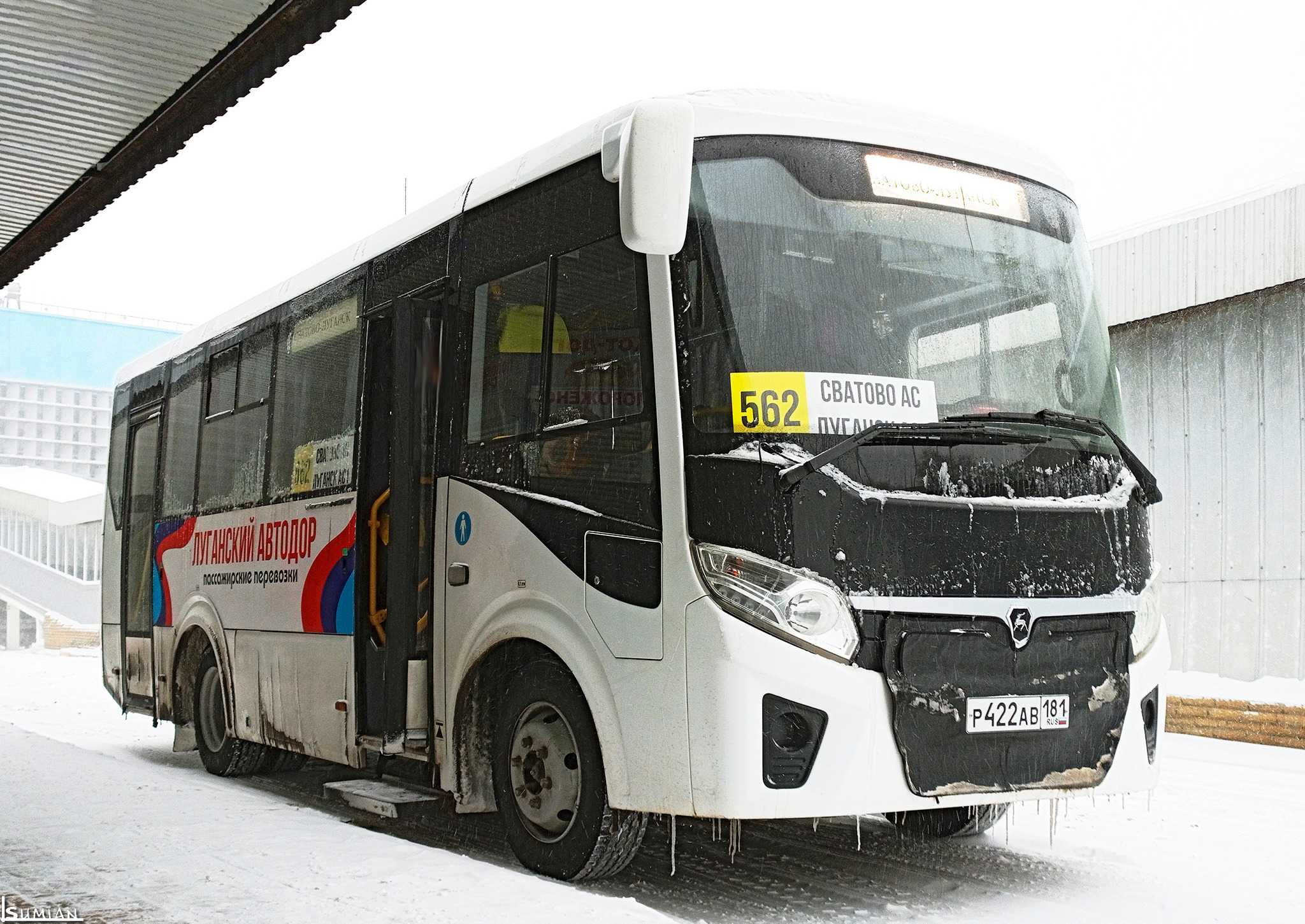 р 422 ав 181, PAZ 3203/3204 3204 Vector Next, 2016–