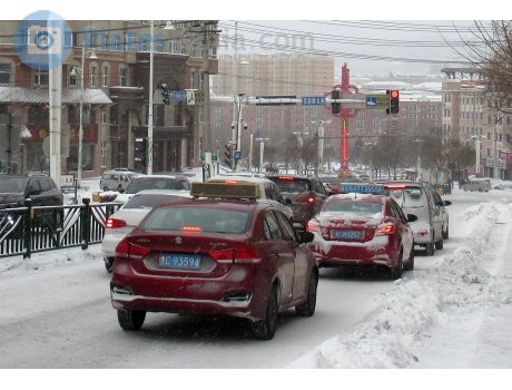 黑C·93594, Suzuki Alivio