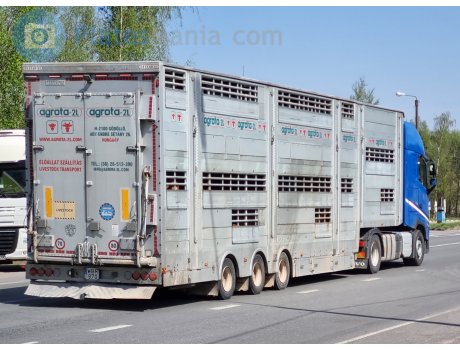 WBR-970, Pezzaioli SBA