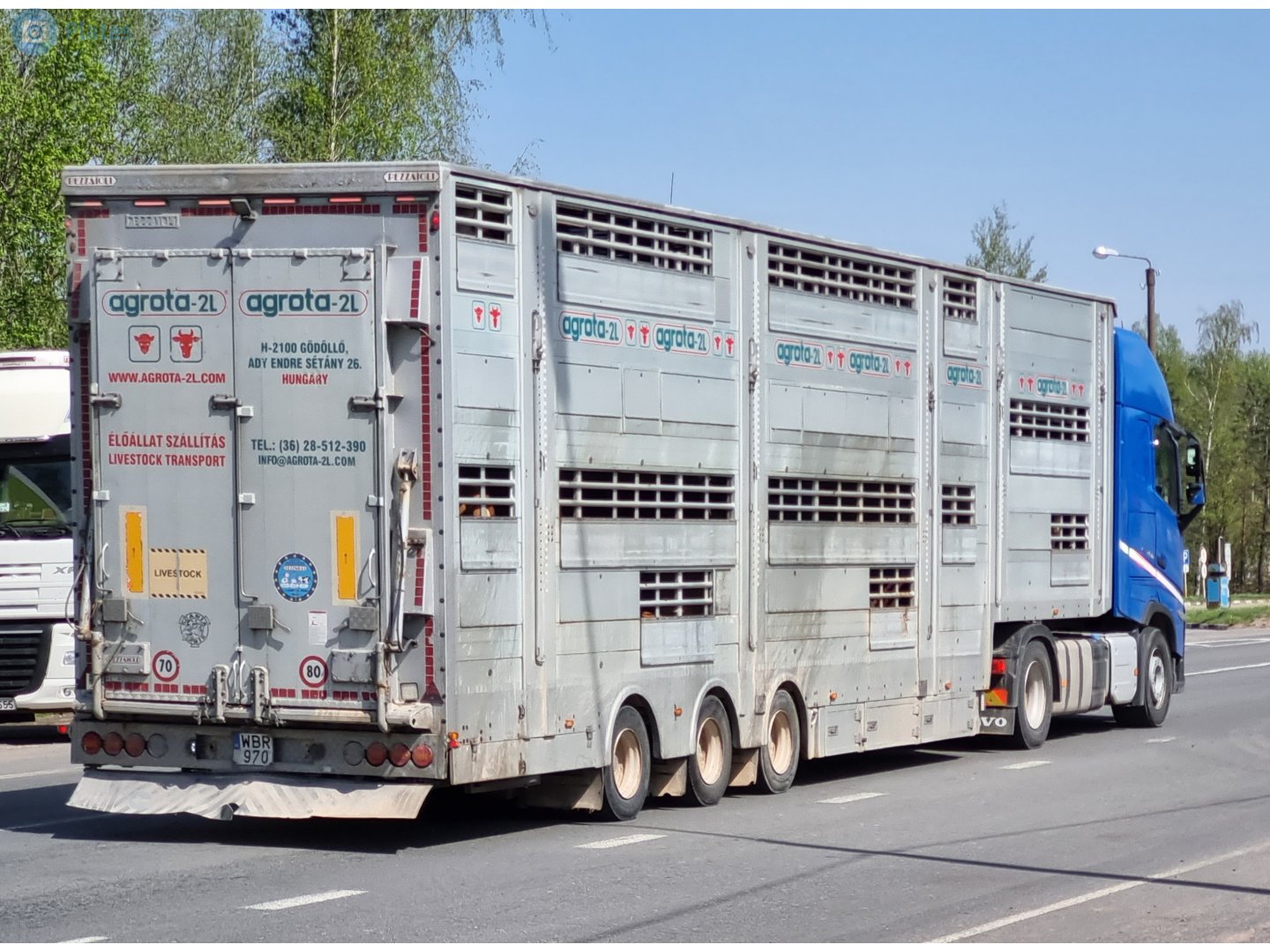 WBR-970, Pezzaioli SBA 