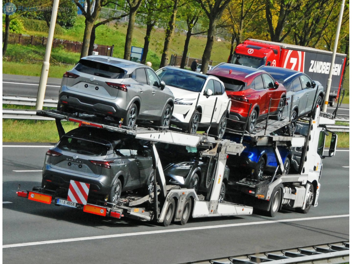 BIA 486AJ, Rolfo EGO 