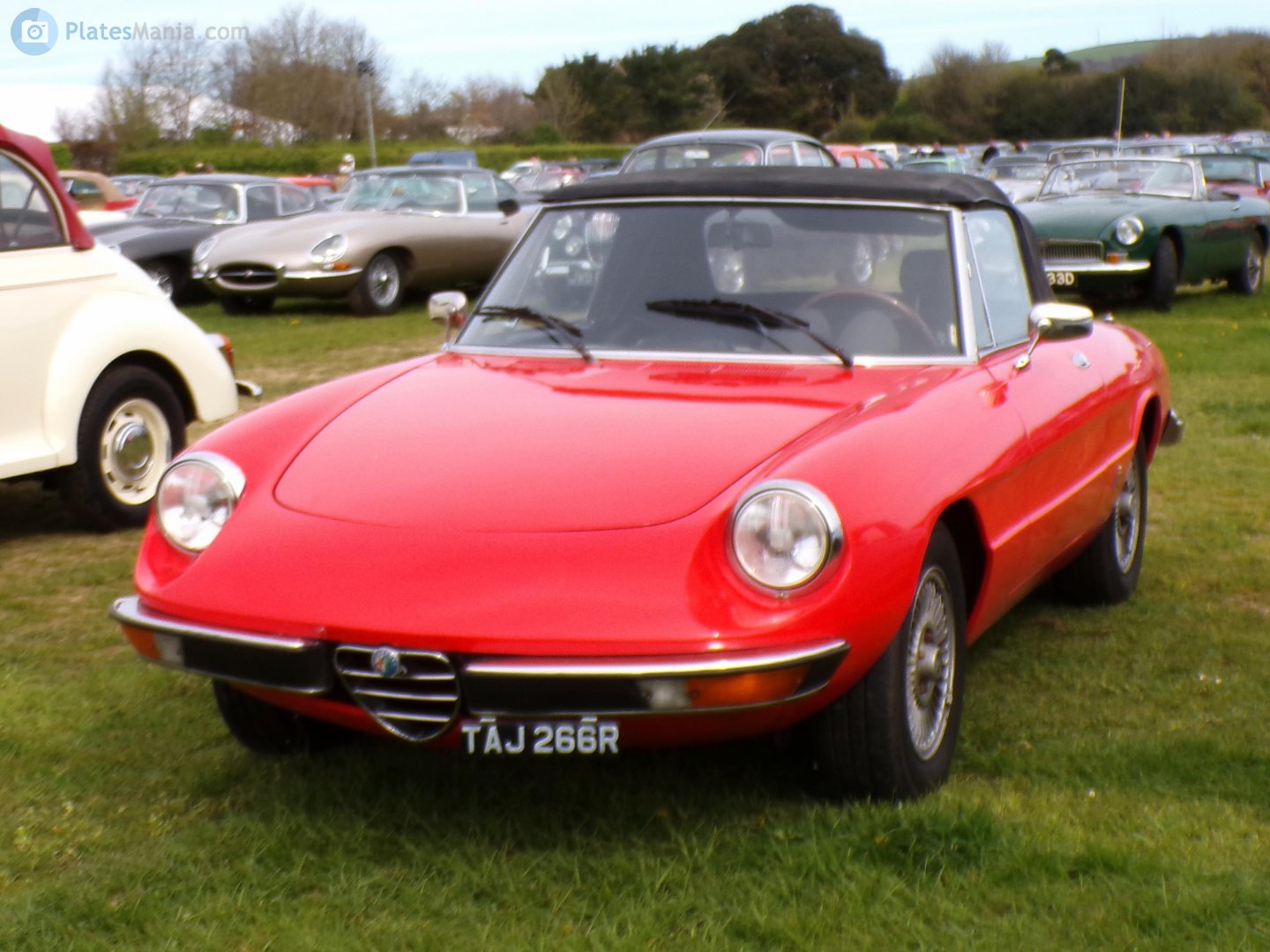TAJ266R, Alfa Romeo Spider 2nd gen, 1969–1982