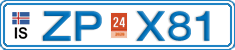 ZP X81