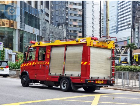 F 251, Mercedes-Benz Vario