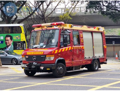 F 251, Mercedes-Benz Vario