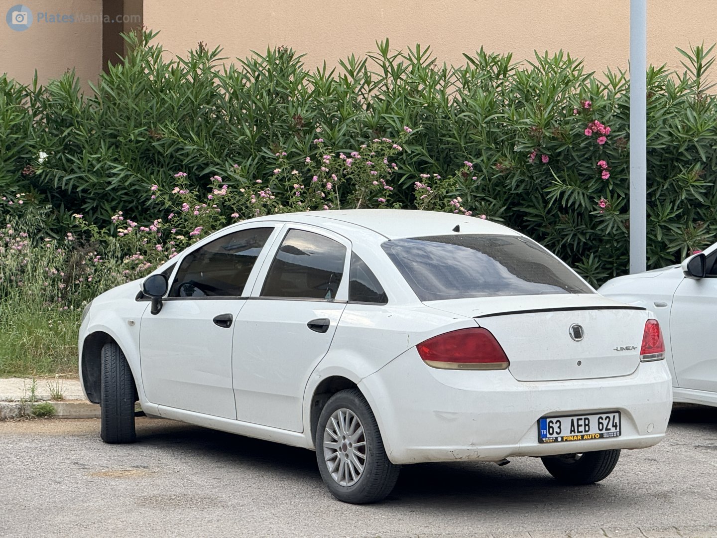 63 AEB 624, FIAT Linea 