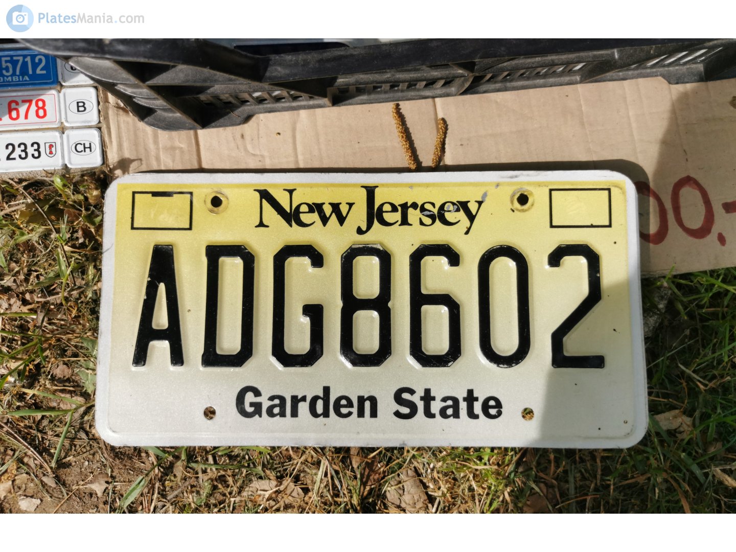 ADG8602, License plate without vehicle 