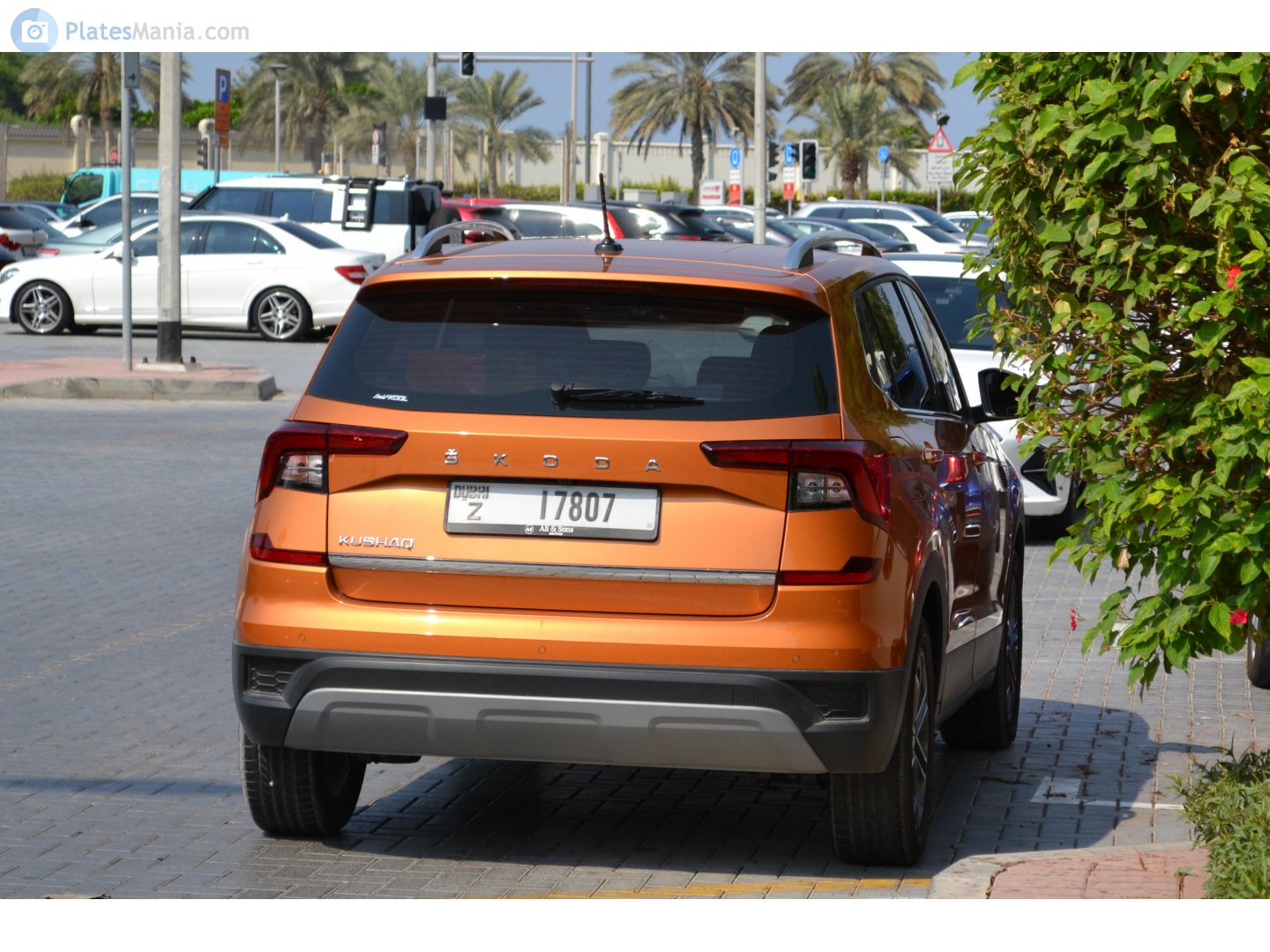 Z 17807, Skoda Kushaq 1st gen (PA1; IN-market), 2021–