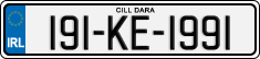 License plate of Ireland, Regular plates