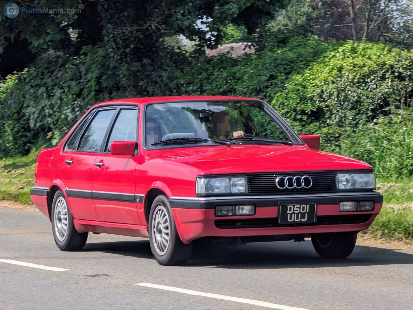 D501UUJ, Audi 4000 1st gen (B2; NA-market), 1980–1987