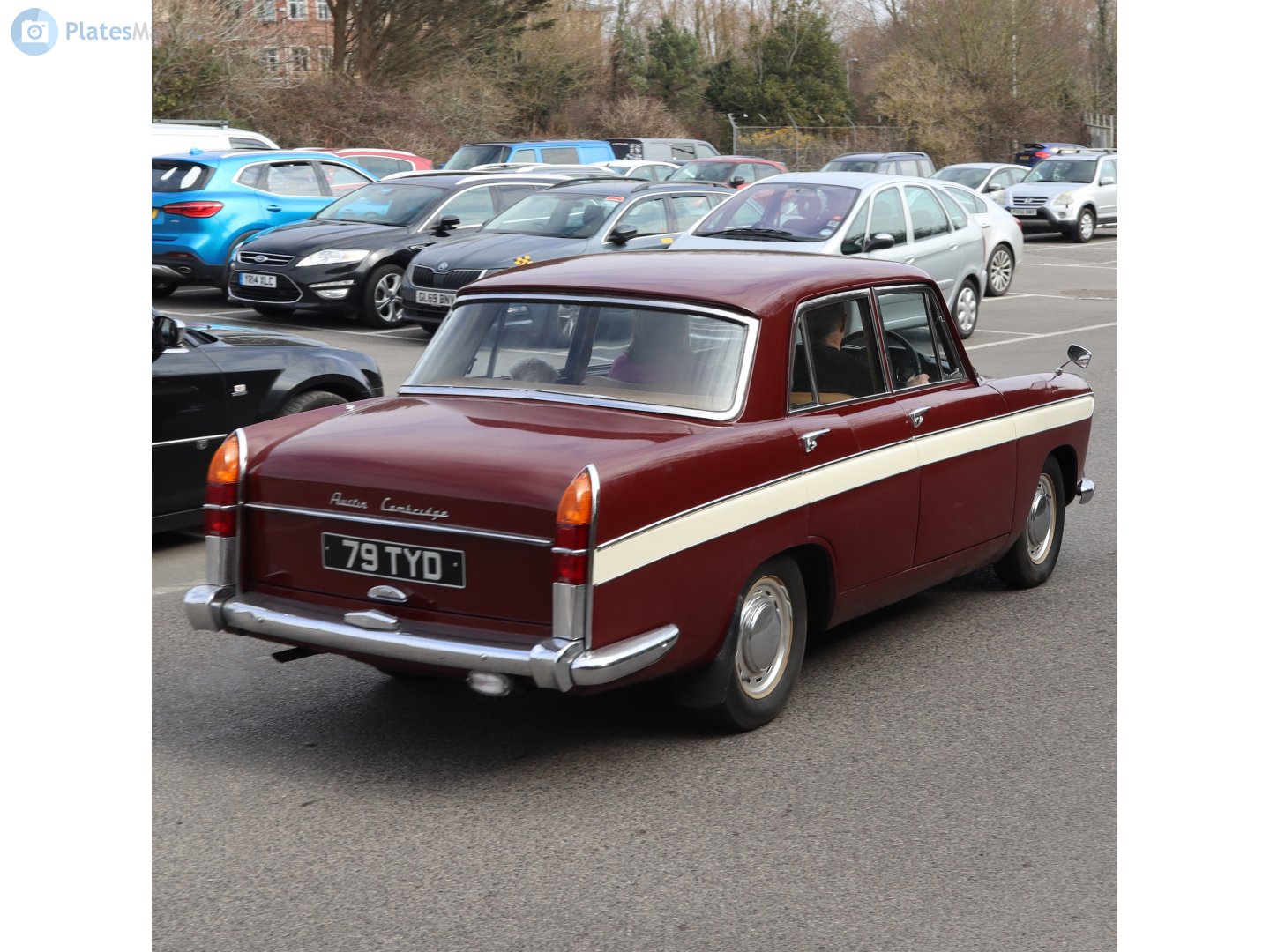 79TYD, Austin Cambridge 