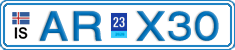 AR X30