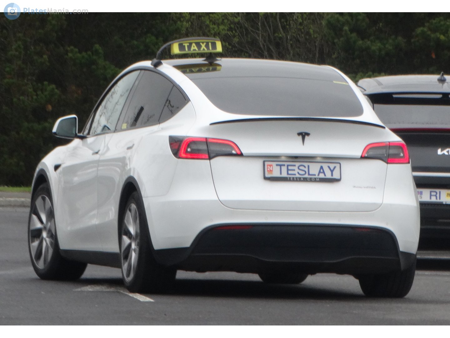 TESLAY, Tesla Model Y 1st gen (5YJY), 2020–2025