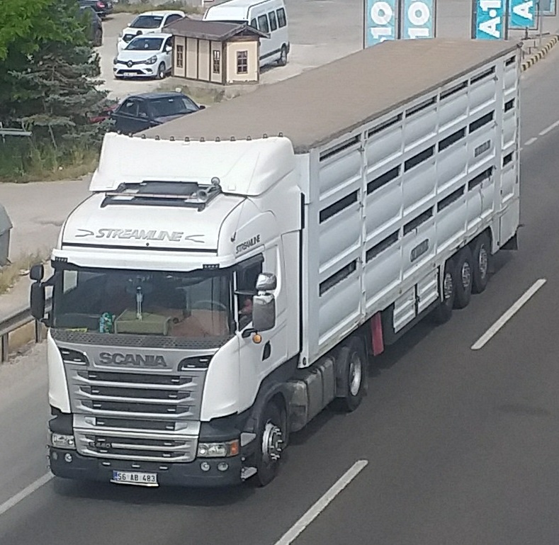 56 AB 483, Scania R-Series 1st gen, 2004­–2017