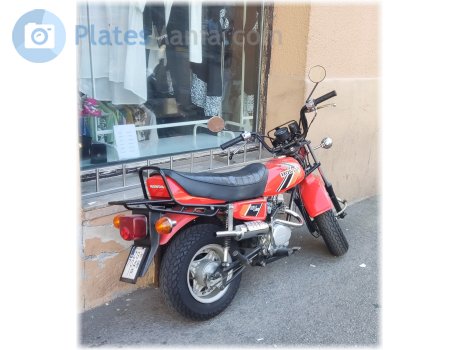 ZG 7048-IP, Honda CT/CY Series