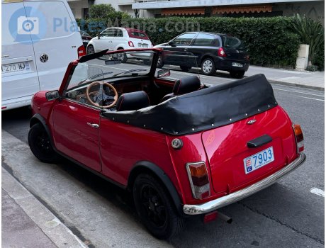 7903, Rover Mini