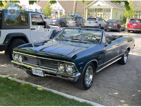 CLVW-618, Beaumont Custom