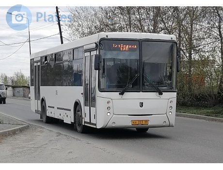 ка 223 66, NefAZ (NZAS) 5299