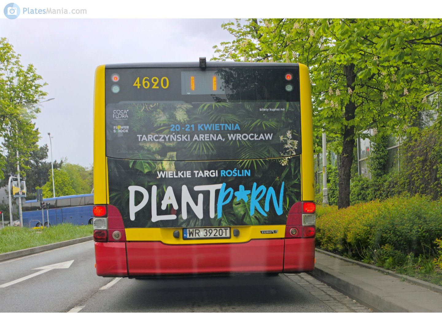 WR 3920T, MAN Lion's City 2nd gen, 2004–2017