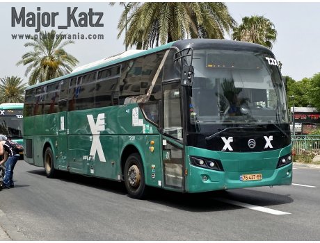 76-427-69, Golden Dragon XML6121