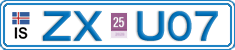 ZX U07