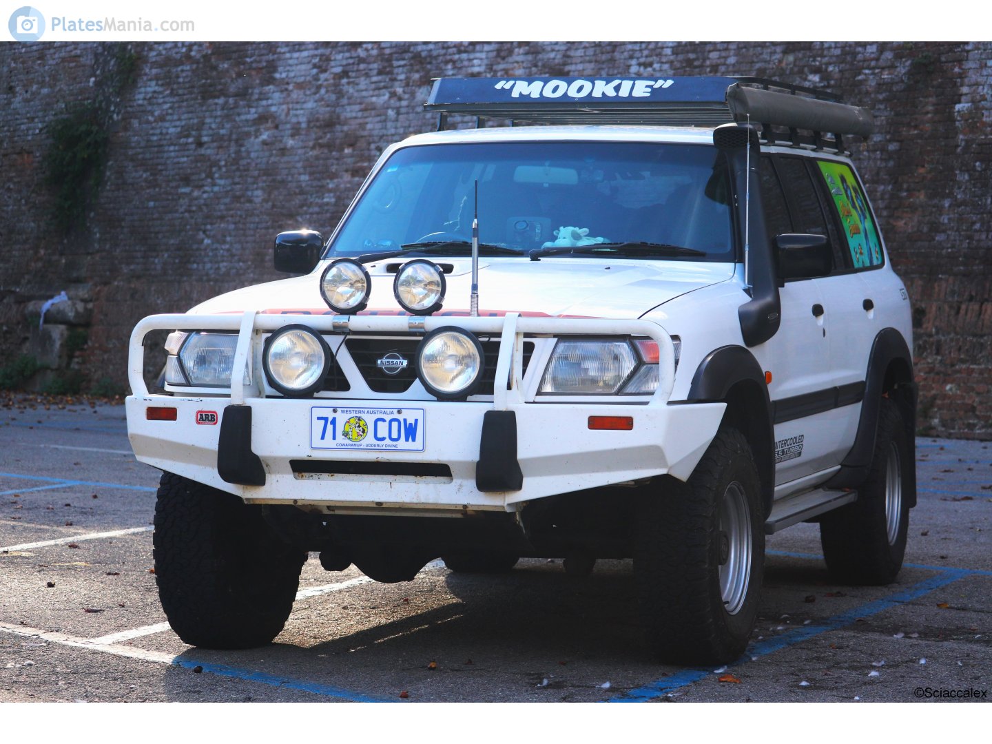 71 COW, Nissan Patrol 5th gen 5-door SUV (Y61), 1997–2004