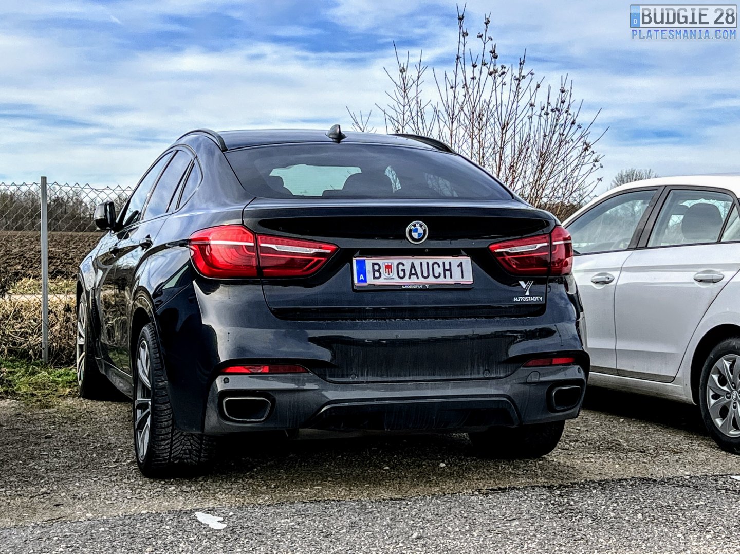 B GAUCH 1, BMW X6 2nd gen (F16), 2014–2019