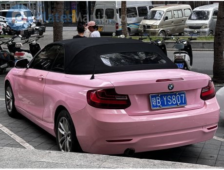 琼B·YS807, BMW 2 Series