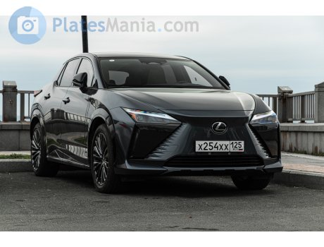 х254хх125, Lexus RZ