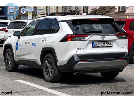 AA IM-958, Toyota RAV4