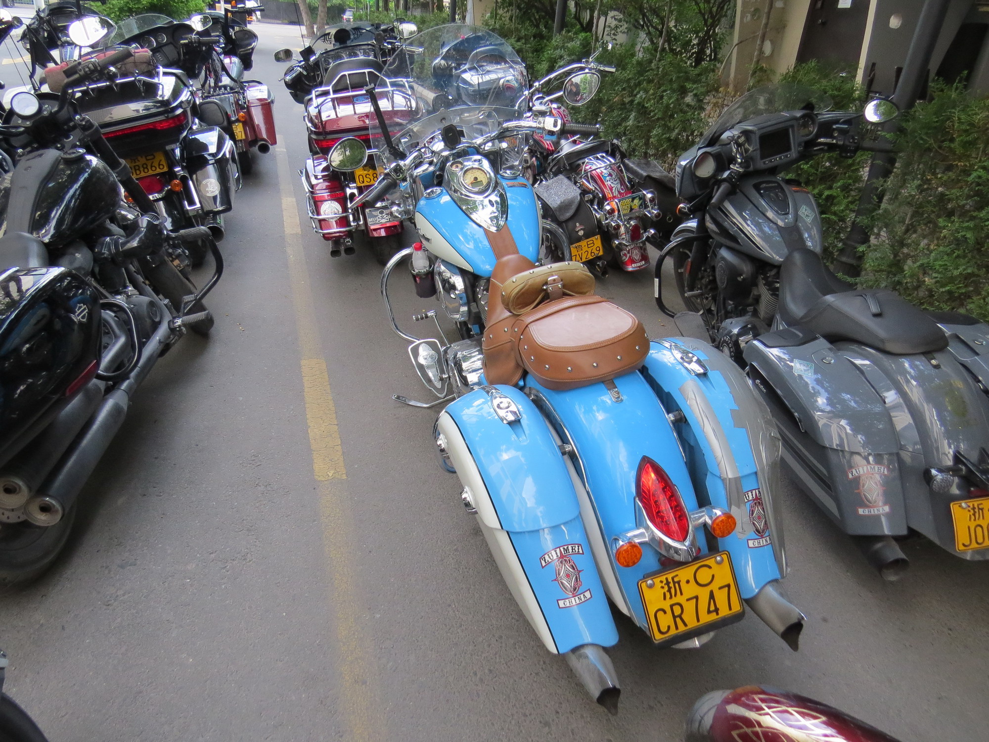 浙C·CR747, Indian Springfield 