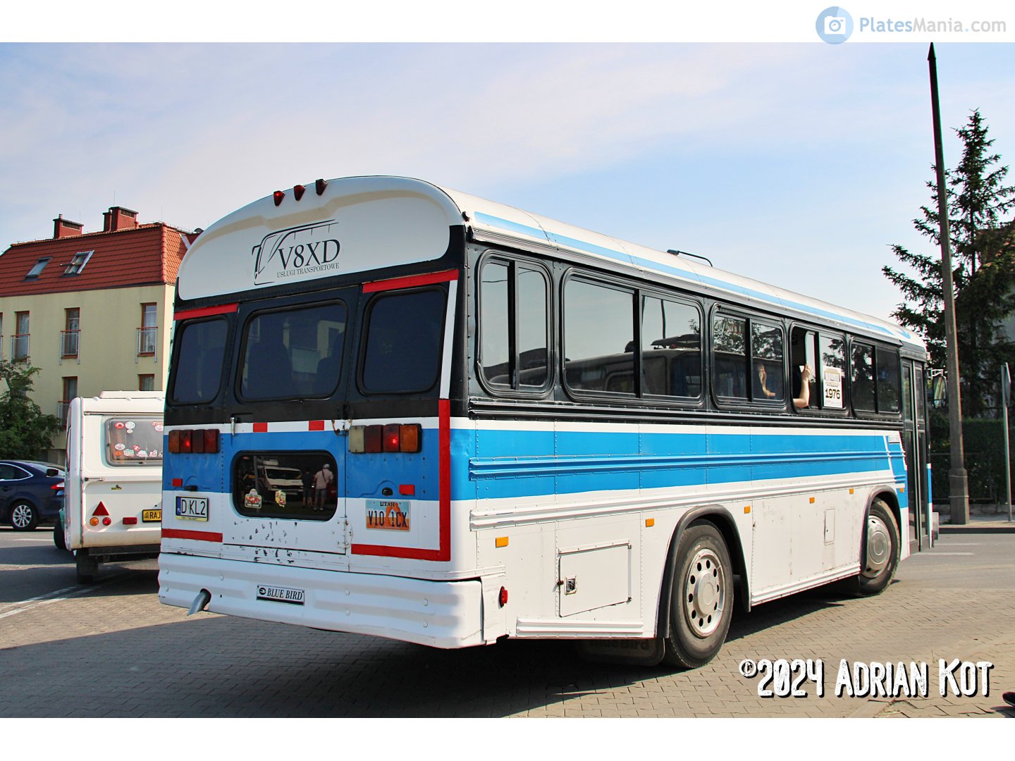 D KL2, Blue Bird TC1000 