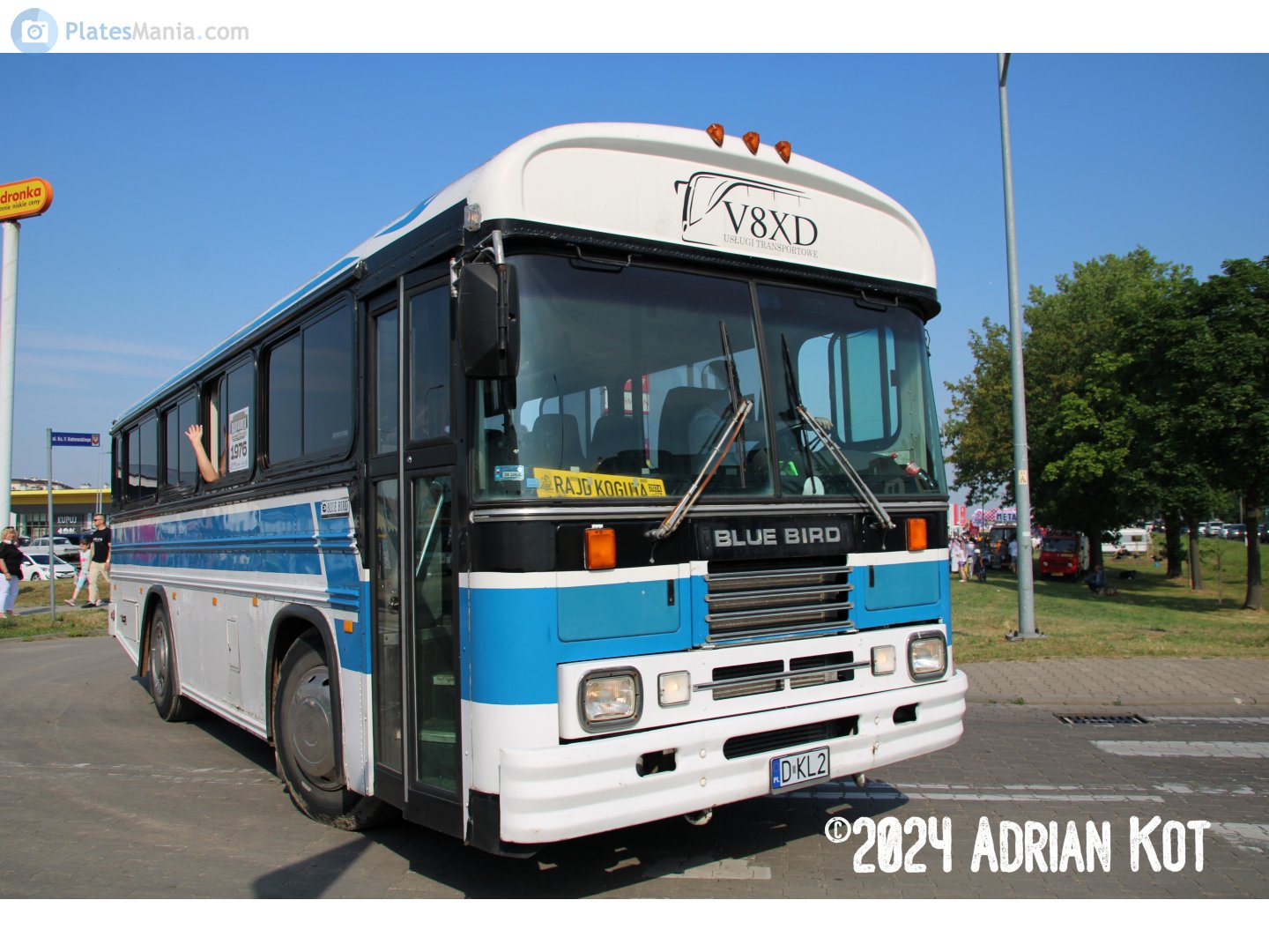 D KL2, Blue Bird TC1000 