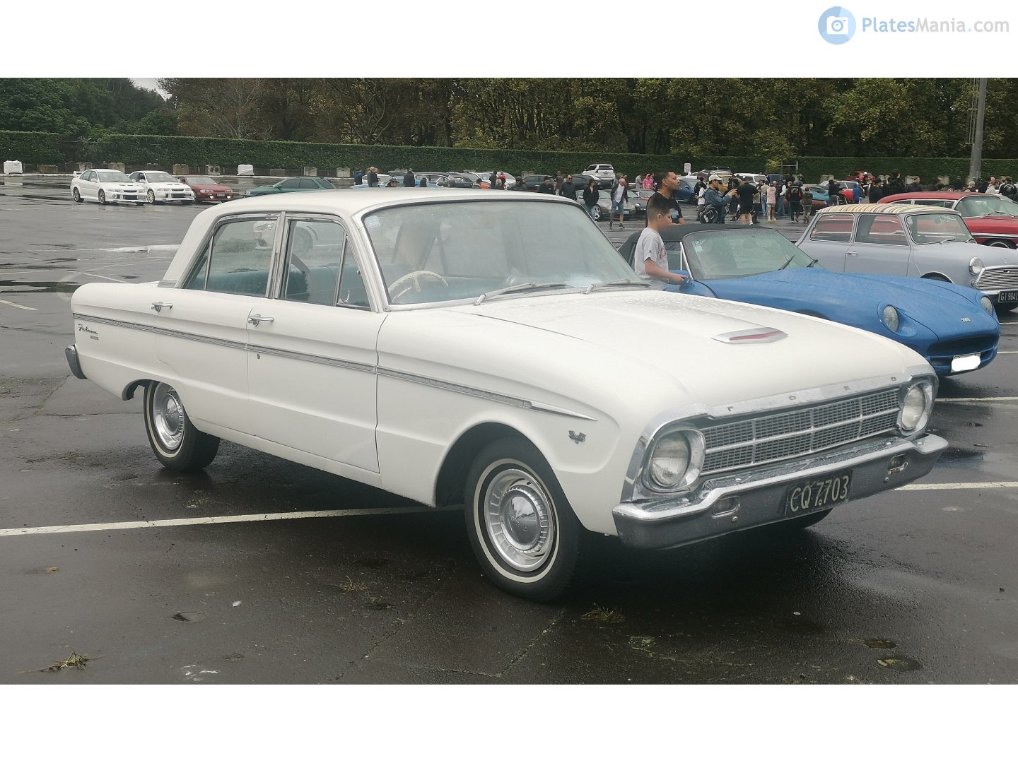CQ7703, Ford Falcon 1st gen Sedan (XK/XL/XM/XP; AU-market), 1960–1966