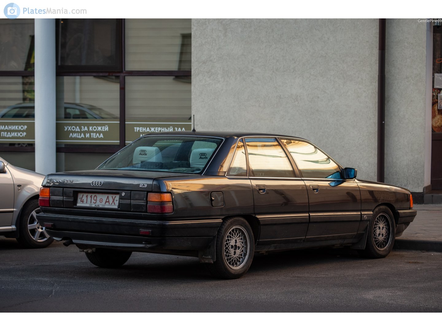 4119 AX, Audi 100 3rd gen Sedan (C3/44), 1982–1991