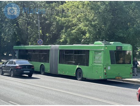 ае 555 60, MAZ 216