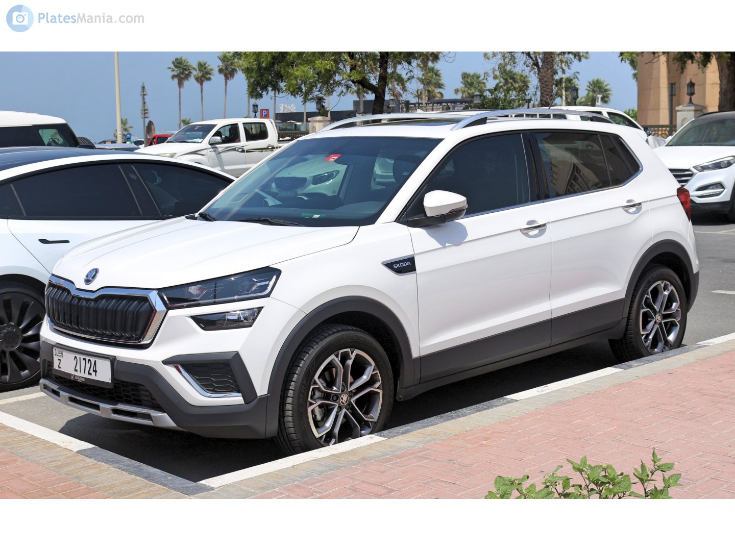 Z 21724, Skoda Kushaq 1st gen (PA1; IN-market), 2021–