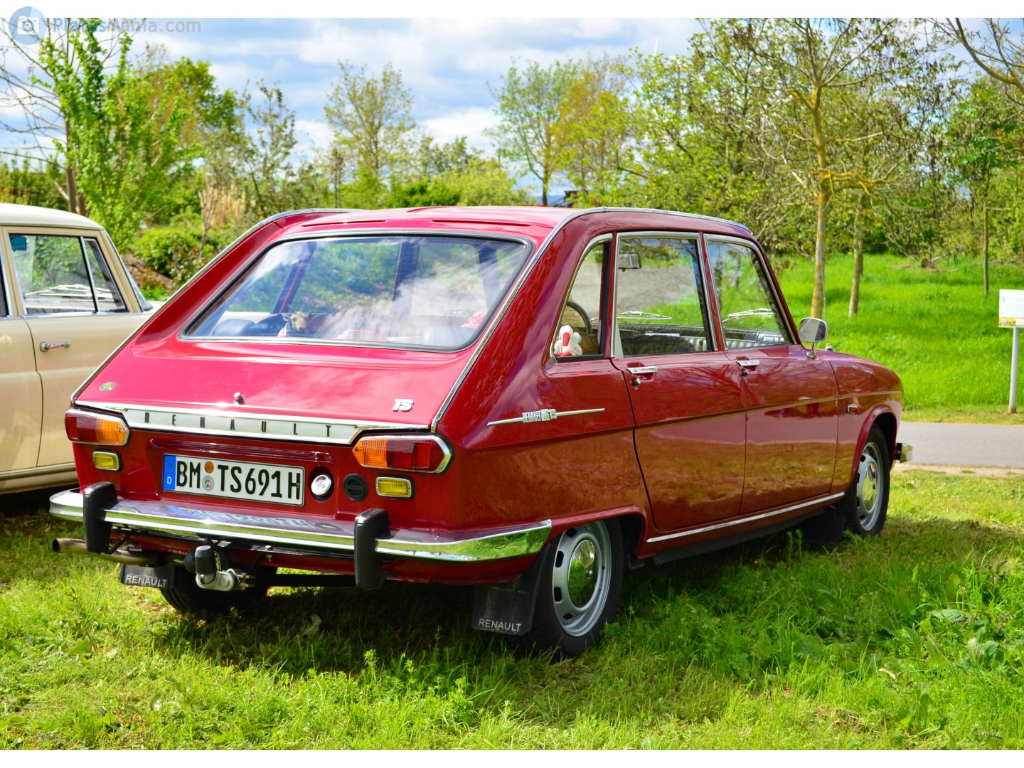 BM TS 691 H, Renault 16 1st gen (115), 1965–1980