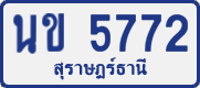 License plate of Thailand, Private owners
