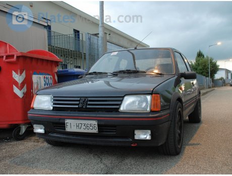 FI H73656, Peugeot 205