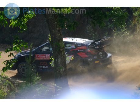 A-7446, Toyota Yaris